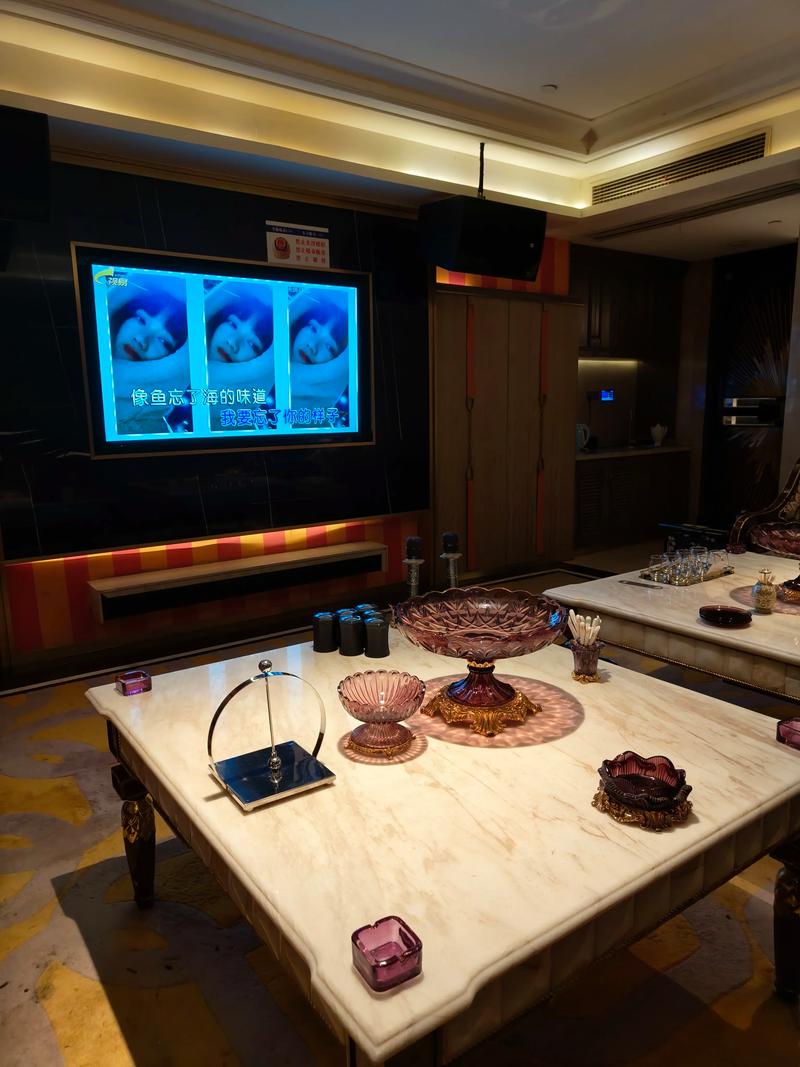 枣庄商务KTV总排行-薛城区ktv预订